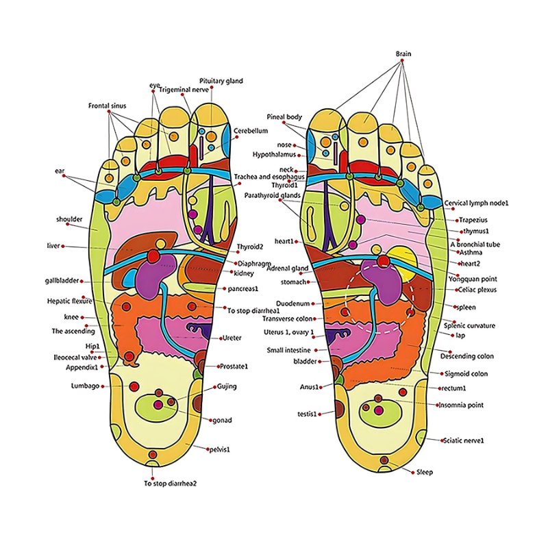 ZappPaduka Acupressure & Magnetic Therapy Slippers for Relaxation & Wellness – Unisex