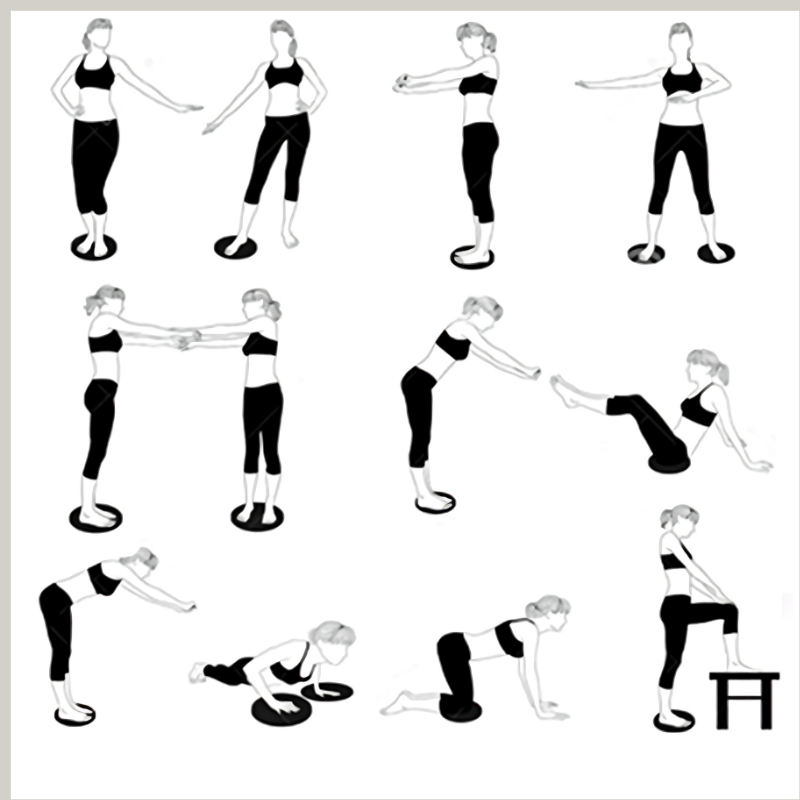 ZappTwist Tummy Twister Disc for Abs, Waist & Core Toning | Portable Abdominal Exerciser for Men & Women