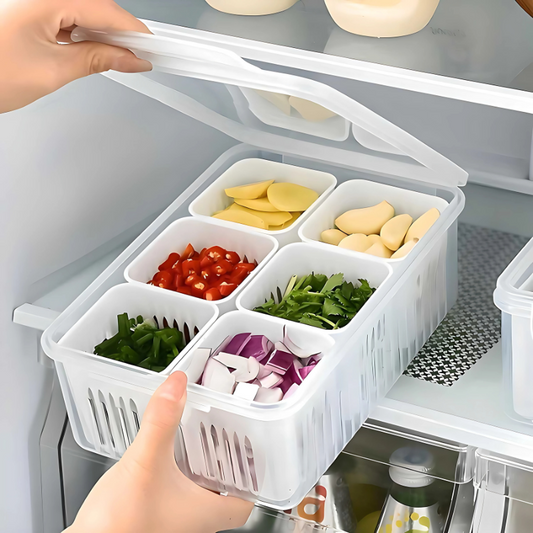 ZappStore Fridge Storage Organizer Box | 6-Grid Plastic Container Set for Kitchen & Refrigerator | Multi-Use Food & Vegetable Storage Bins